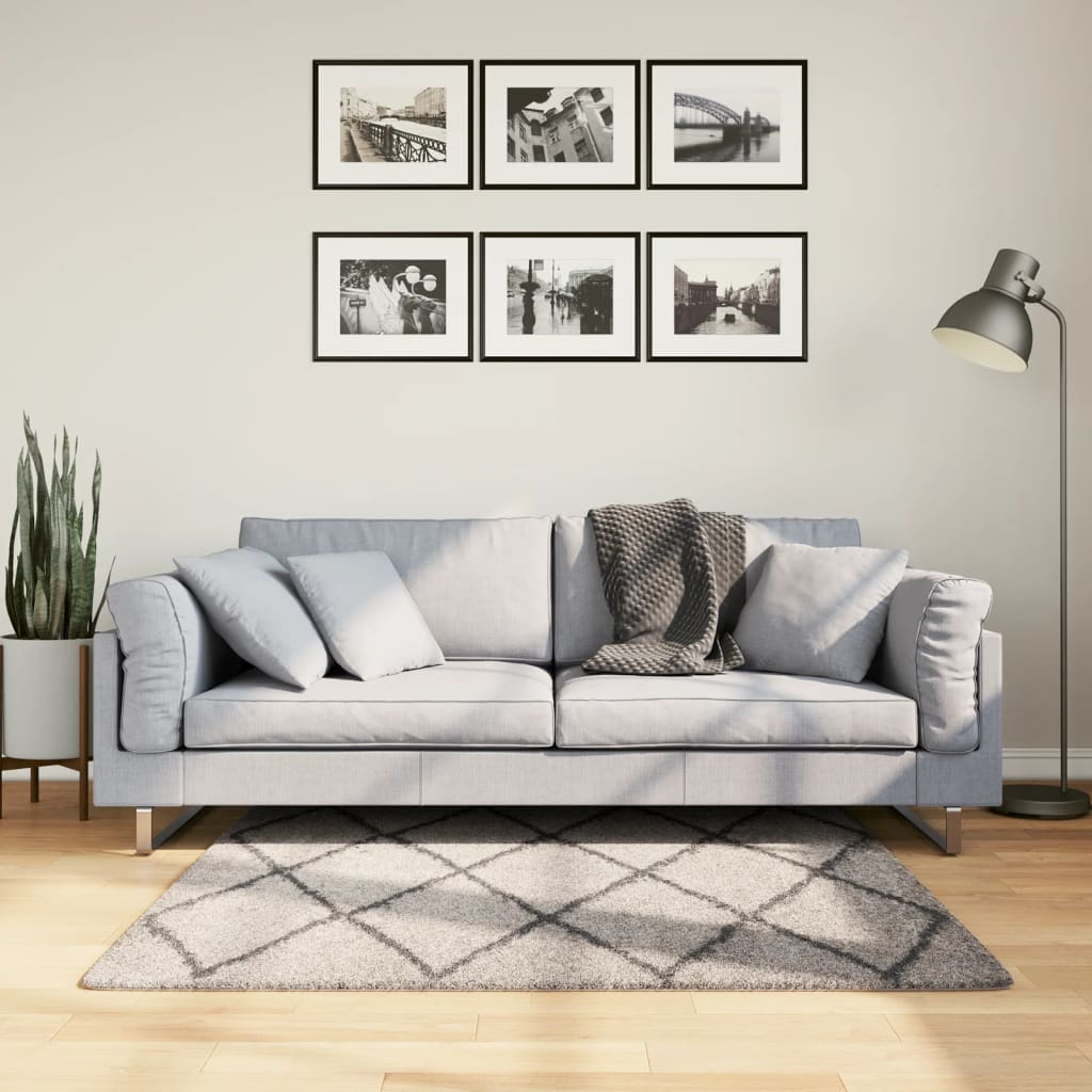 Tapis Shaggy À Poils Longs Moderne Beige Anthracite Beige Et Anthracite-120 x 120 cm-La-Fabrique-Industrielle