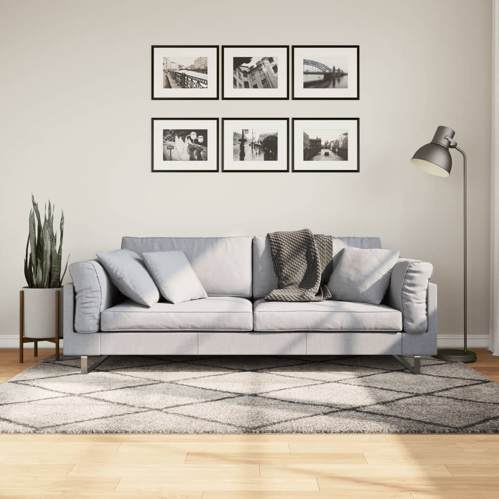 Tapis Shaggy À Poils Longs Moderne Beige Anthracite Beige Et Anthracite-140 x 200 cm-La-Fabrique-Industrielle