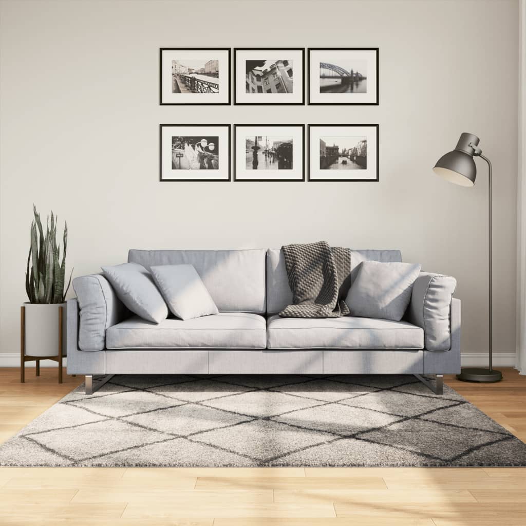 Tapis Shaggy À Poils Longs Moderne Beige Anthracite Beige Et Anthracite-160 x 160 cm-La-Fabrique-Industrielle
