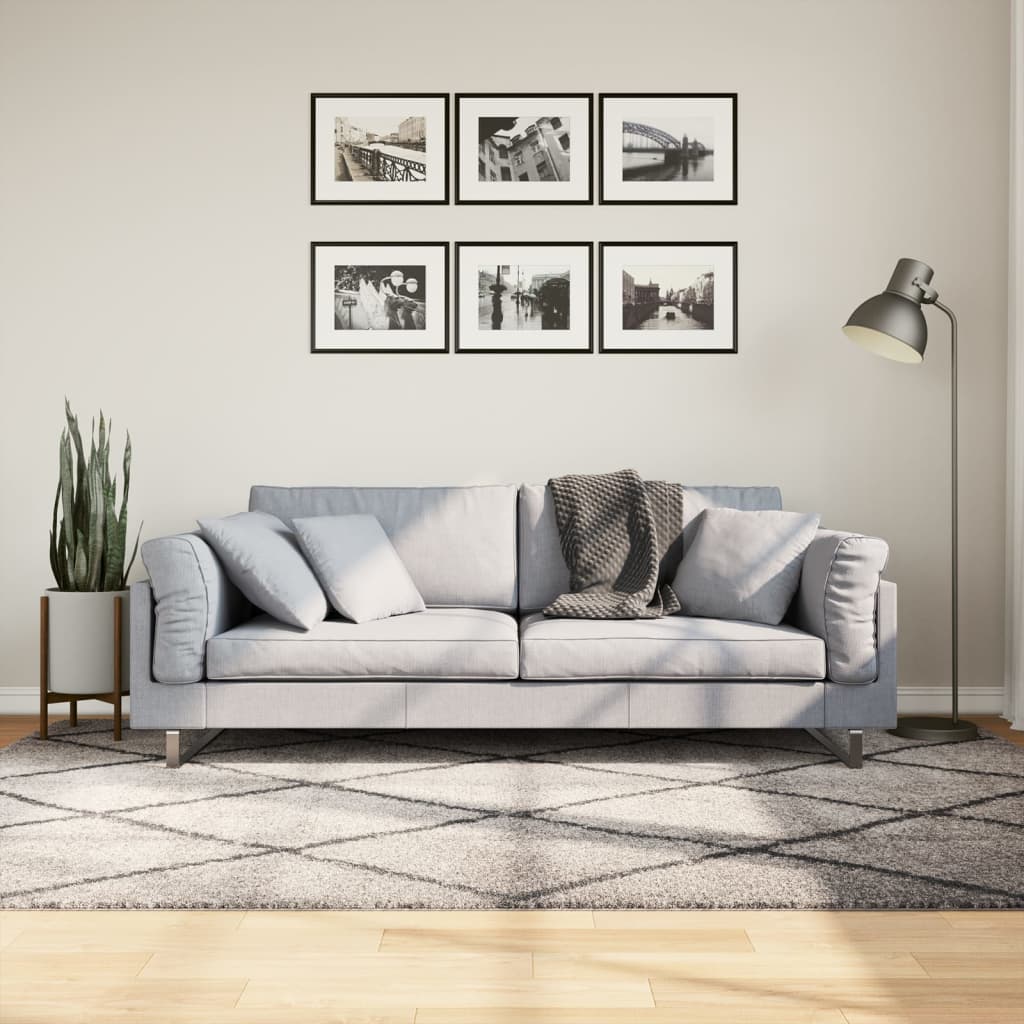 Tapis Shaggy À Poils Longs Moderne Beige Anthracite Beige Et Anthracite-160 x 230 cm-La-Fabrique-Industrielle