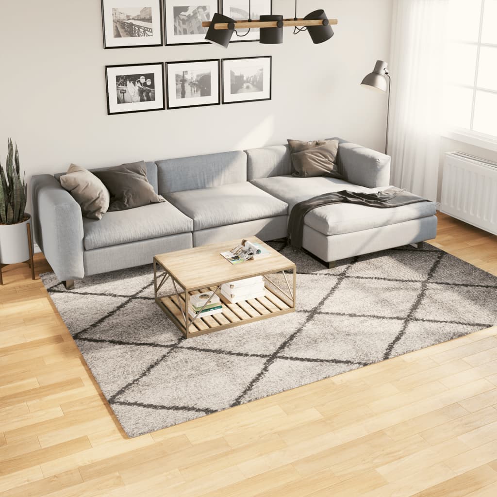 Tapis Shaggy À Poils Longs Moderne Beige Anthracite Beige Et Anthracite-200 x 280 cm-La-Fabrique-Industrielle