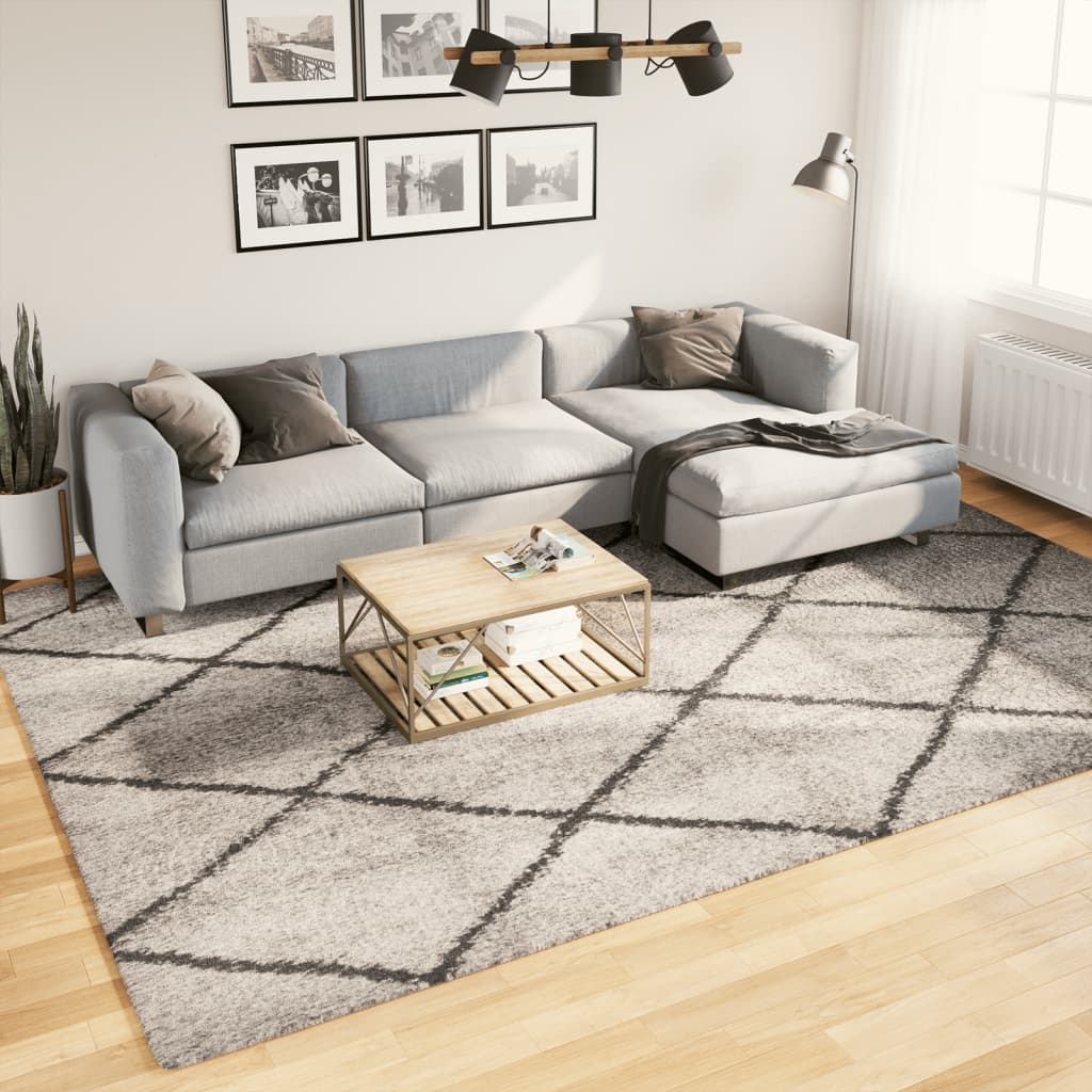 Tapis Shaggy À Poils Longs Moderne Beige Anthracite Beige Et Anthracite-240 x 340 cm-La-Fabrique-Industrielle