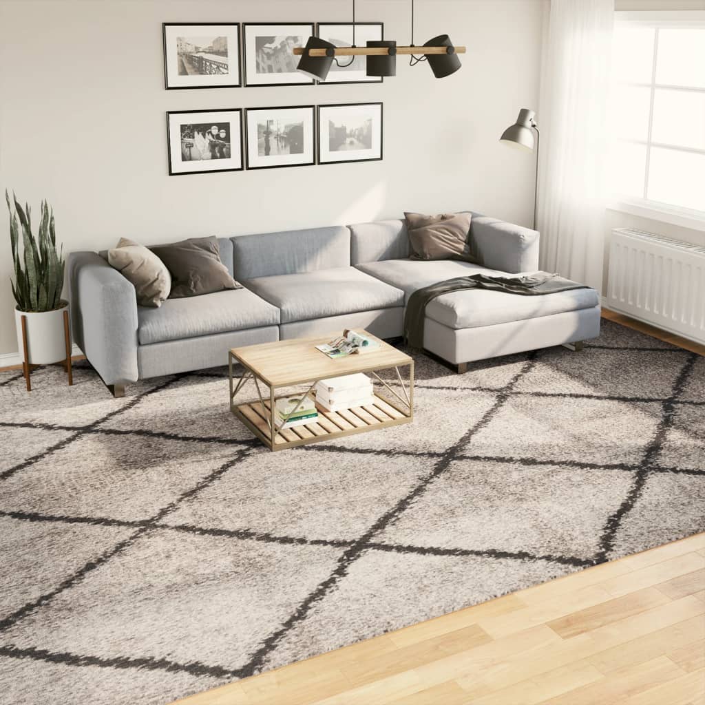 Tapis Shaggy À Poils Longs Moderne Beige Anthracite Beige Et Anthracite-300 x 400 cm-La-Fabrique-Industrielle