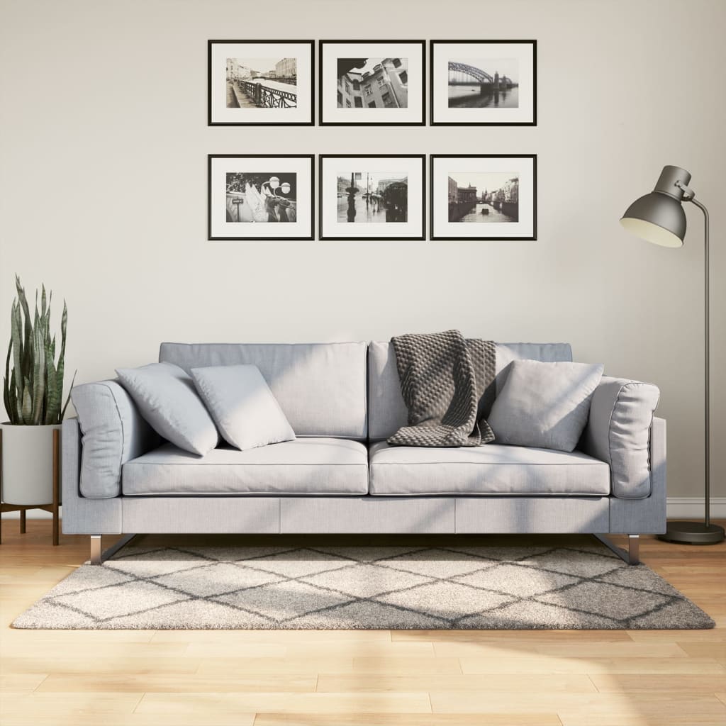 Tapis Shaggy À Poils Longs Moderne Beige Anthracite Beige Et Anthracite-80 x 150 cm-La-Fabrique-Industrielle