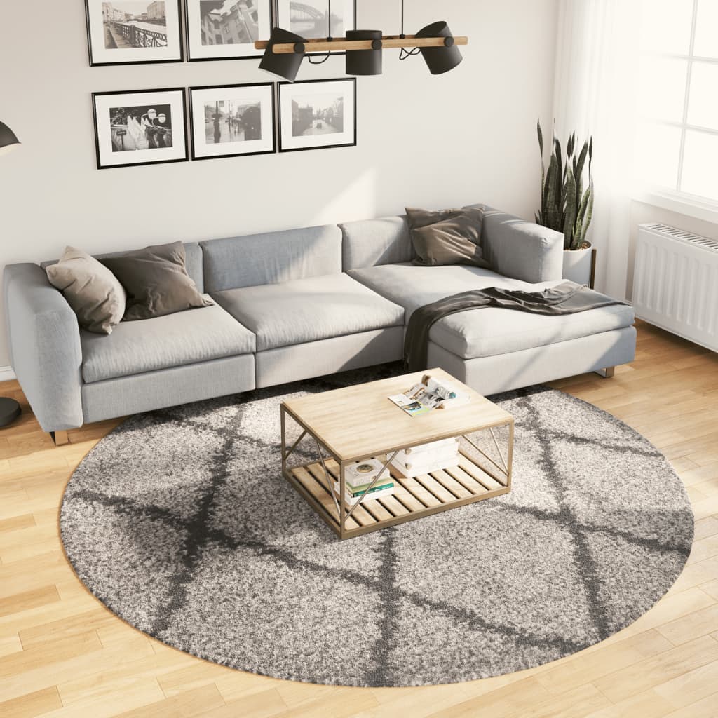 Tapis Shaggy À Poils Longs Moderne Beige Anthracite Beige Et Anthracite-Ø 240 cm-La-Fabrique-Industrielle