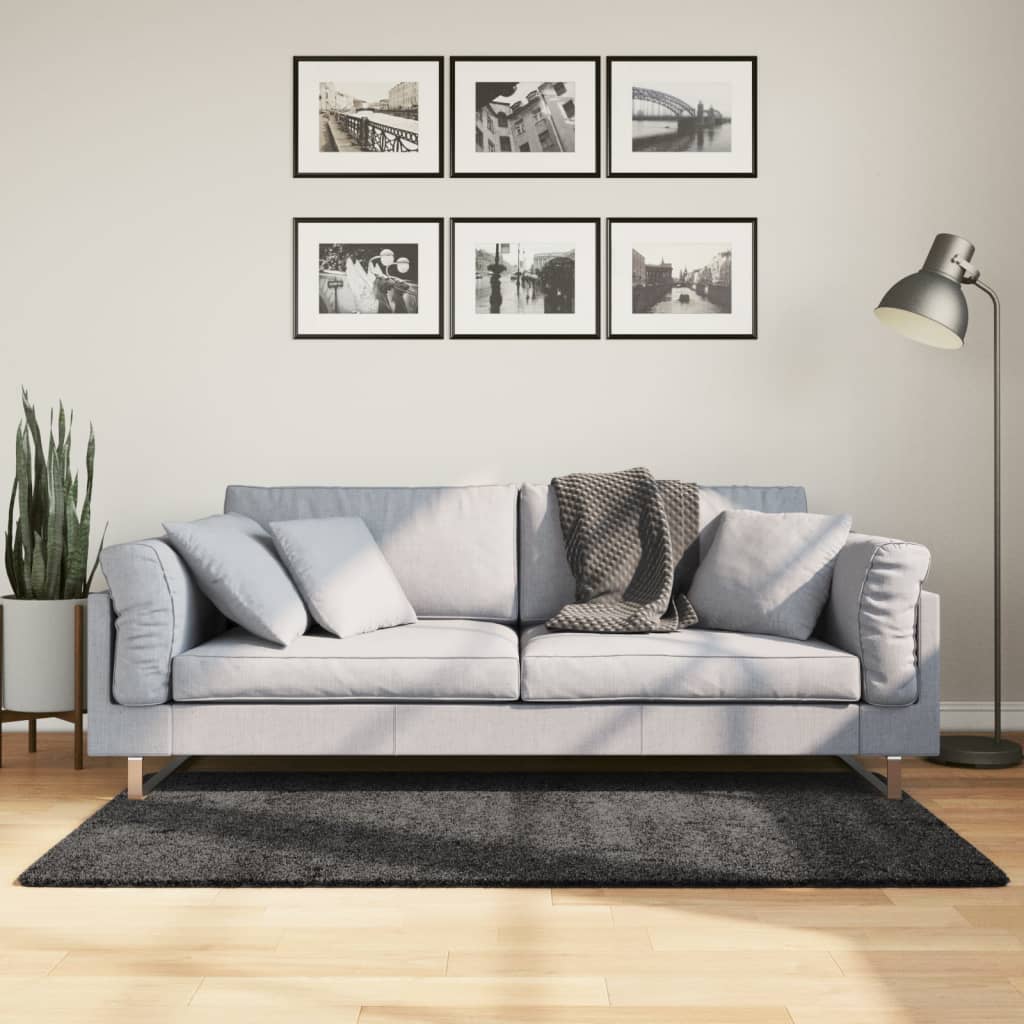 Tapis Shaggy Pamplona Poils Longs Moderne Anthracite-120 x 170 cm-La-Fabrique-Industrielle