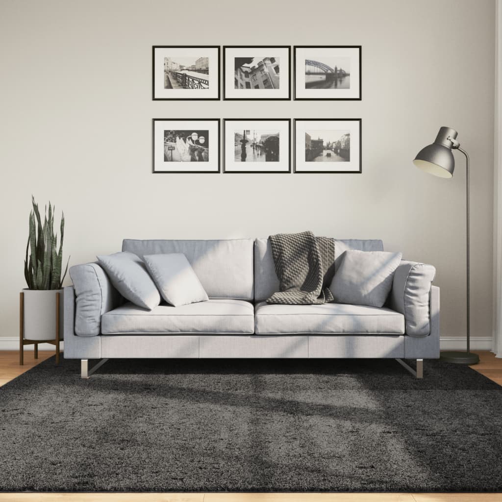 Tapis Shaggy Pamplona Poils Longs Moderne Anthracite-200 x 200 cm-La-Fabrique-Industrielle