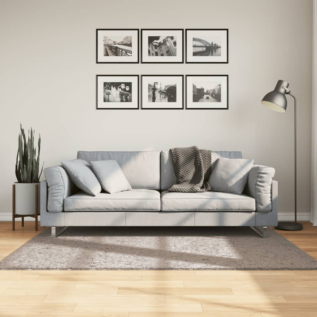 Tapis Shaggy Pamplona Poils Longs Moderne Beige-120 x 170 cm-La-Fabrique-Industrielle